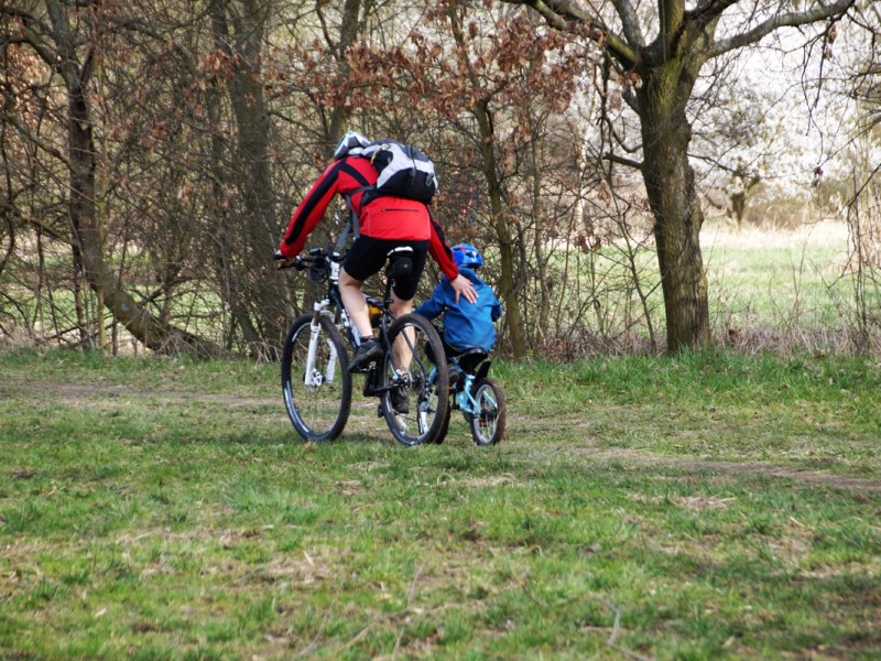 RELATIONSHIP DEVELOPMENT INTERVENTION